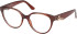 Guess GU50388 glasses in Shiny Dark Brown