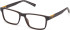 Timberland TB1797 glasses in Brown