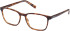 Timberland TB1817 glasses in Tortoise