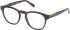 Timberland TB50003 glasses in Dark Havana