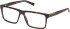Timberland TB50004 glasses in Dark Havana