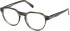 Timberland TB50032 glasses in Dark Green/Horn