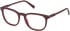 Timberland TB50066 glasses in Matte Dark Red