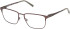 Timberland TB50070 glasses in Matte Dark Brown