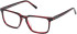 Timberland TB50072-H-54 glasses in Red/Horn