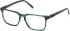 Timberland TB50072-H-54 glasses in Light Blue/Horn