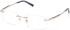 Timberland TB50075 glasses in Shiny Pale Gold
