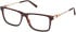Timberland TB50080 glasses in Dark Havana