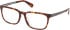 Timberland TB50086-H glasses in Coloured Havana