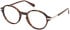 Gant GA50008 glasses in Dark Havana