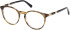 Gant GA3286 glasses in Havana/Havana