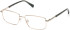 Gant GA3299 glasses in Shiny Pale Gold