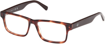 Gant GA50017 glasses in Red Havana