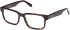 Gant GA50030 glasses in Dark Havana