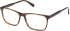 Gant GA50066 glasses in Dark Havana