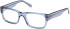 Gant GA50073 glasses in Shiny Blue
