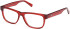 Gant GA50075 glasses in Shiny Bordeaux