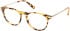 Gant GA50092 glasses in Coloured Havana