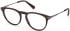 Gant GA50092 glasses in Dark Havana