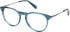 Gant GA50092 glasses in Shiny Dark Green