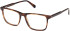Gant GA50095-55 glasses in Dark Havana