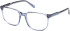 Gant GA50096 glasses in Shiny Blue