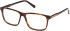 Gant GA50111 glasses in Dark Havana