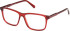 Gant GA50111 glasses in Shiny Bordeaux