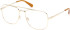 Gant GA50113 glasses in Shiny Pale Gold