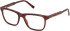 Gant GA50114 glasses in Dark Havana
