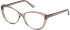 Guess GU2978 glasses in Shiny Beige