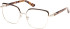 Guess GU2983 glasses in Shiny Dark Brown