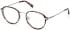 Guess GU50079 glasses in Grey/Striped