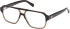Guess GU50093 glasses in Dark Havana