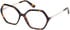 Guess GU50149 glasses in Dark Havana
