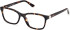 Guess GU50196 glasses in Dark Havana