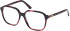 Guess GU50309 glasses in Bordeaux/Havana