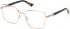 Guess GU50313-55 glasses in Shiny Deep Gold