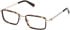 Guess GU50325 glasses in Dark Havana