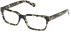 Guess GU50329-54 glasses in Dark Green/Havana