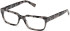Guess GU50329-56 glasses in Grey/Havana