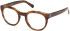 Guess GU50366 glasses in Light Brown/Horn