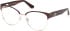 Guess GU50382 glasses in Matte Dark Brown