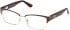 Guess GU50383 glasses in Matte Dark Brown