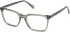Guess GU50391 glasses in Shiny Dark Green