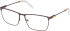 Timberland TB1736 glasses in Brown
