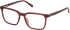 Timberland TB1819-H-53 glasses in Matte Dark Red