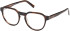 Timberland TB50032 glasses in Light Brown/Horn