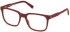 Timberland TB50047-54 glasses in Matte Dark Red