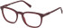 Timberland TB50066 glasses in Matte Dark Red